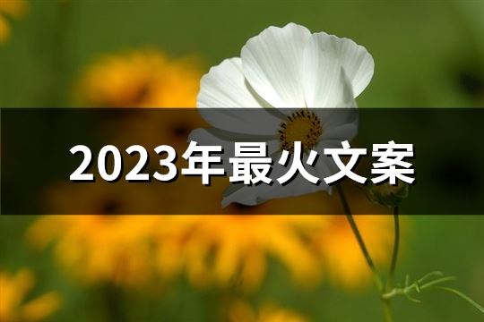 2023年最火文案(优选60句)