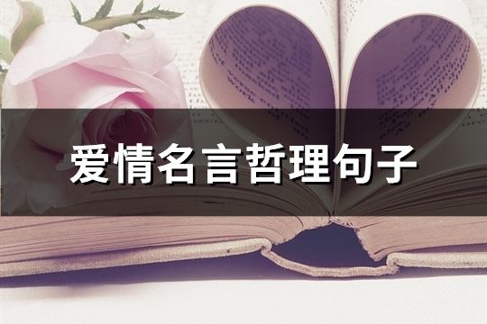 爱情名言哲理句子(精选64句))